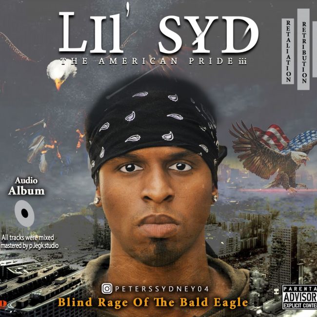 lil-syd-blind-rage-of-a-bald-eagle