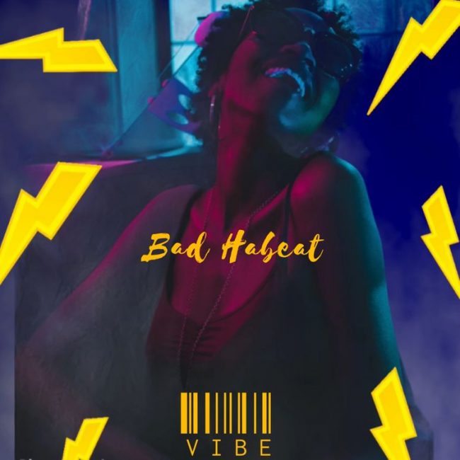 vibe-bad-habeat-cloud9-studios-online